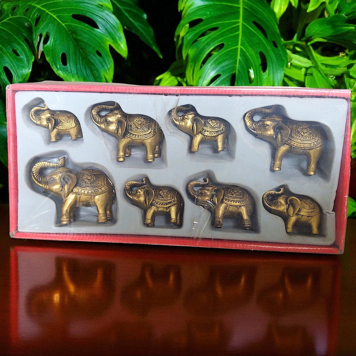 Elephant figure set in a box with leaves