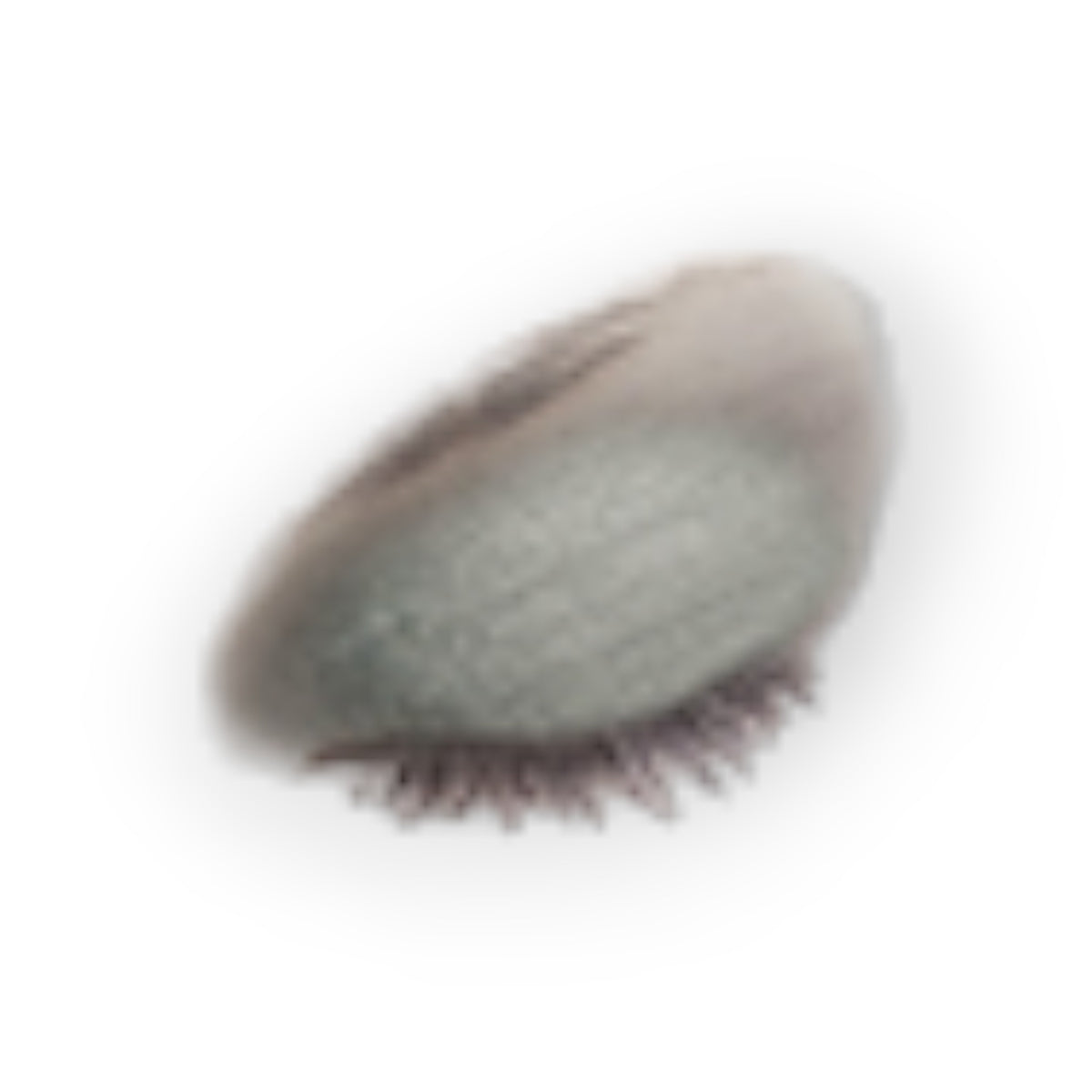 Silver Shimmer Creme to Powder-Silver Shimm