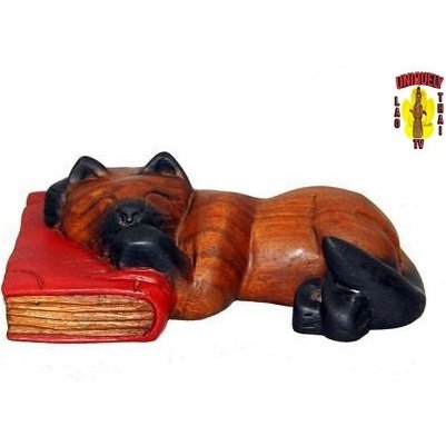 Cat Napping on a Book