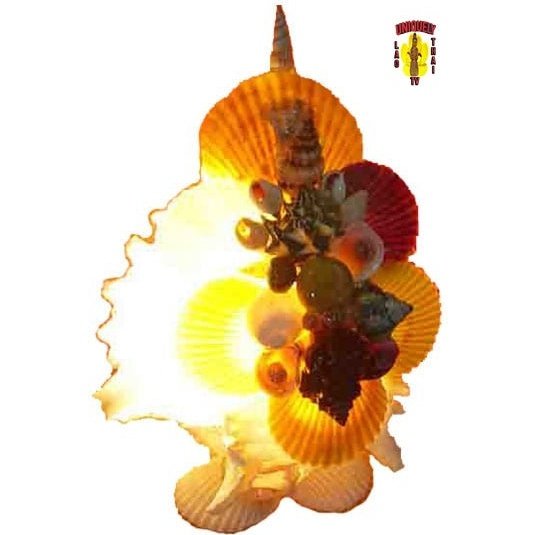 Seashell Lamp 5