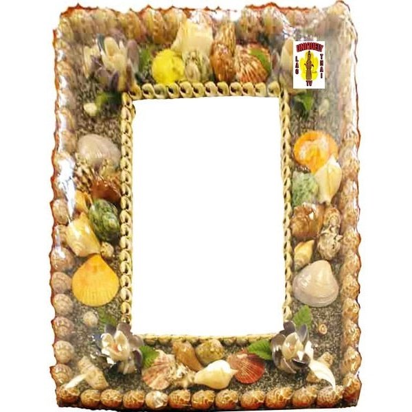 Shell Frame Mirror Rec