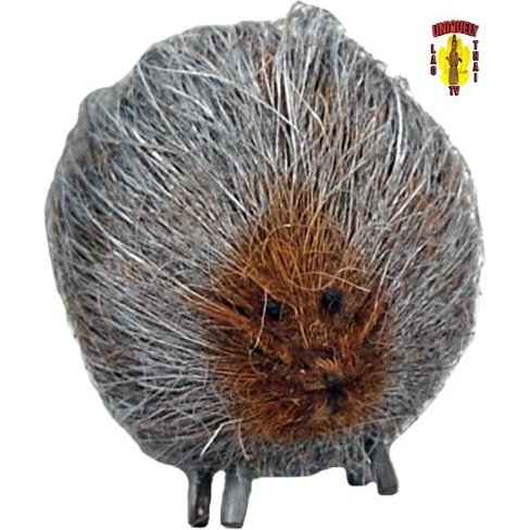 Silver Coconut Porcupine
