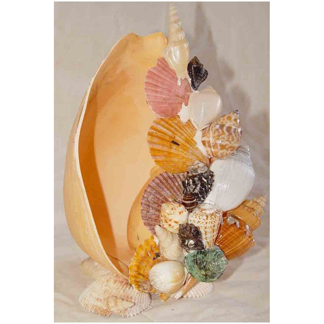 Seashell Arts and Crafts