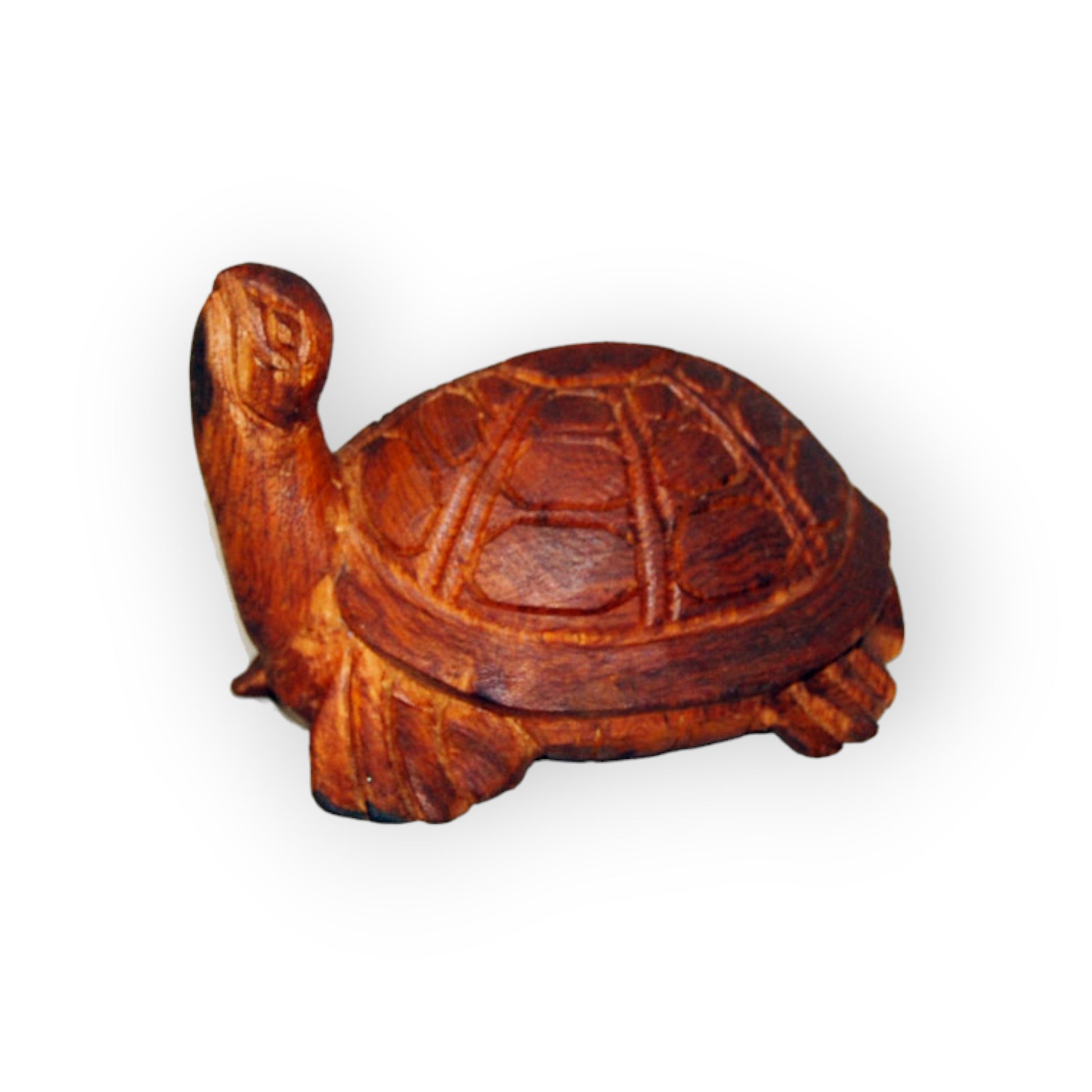 Carved Turtle from Teakwood with Head up