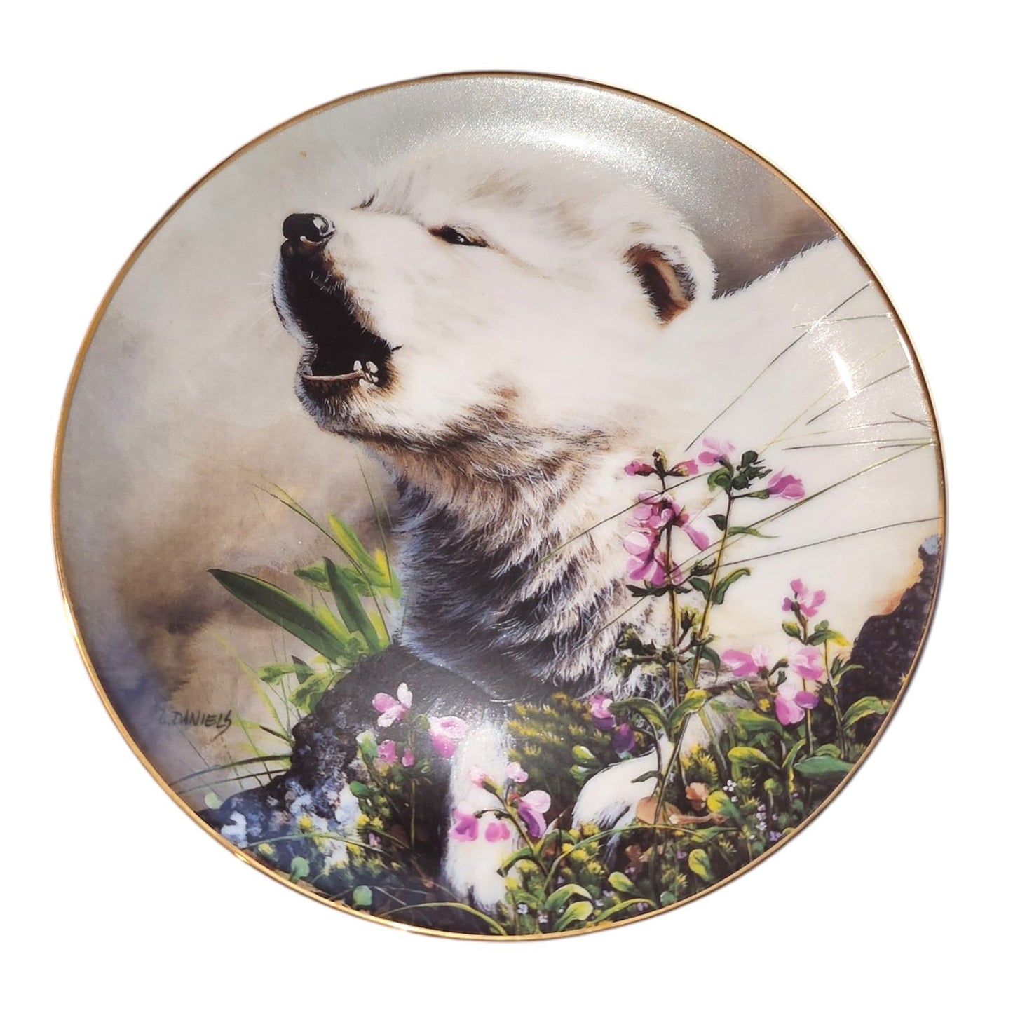 The Bradford Wolf plate Collection