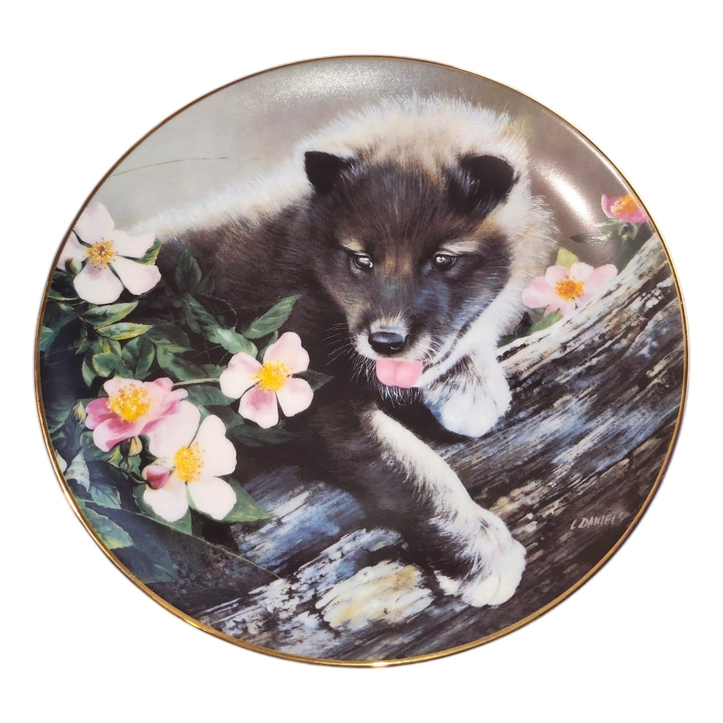 The Bradford Wolf plate Collection