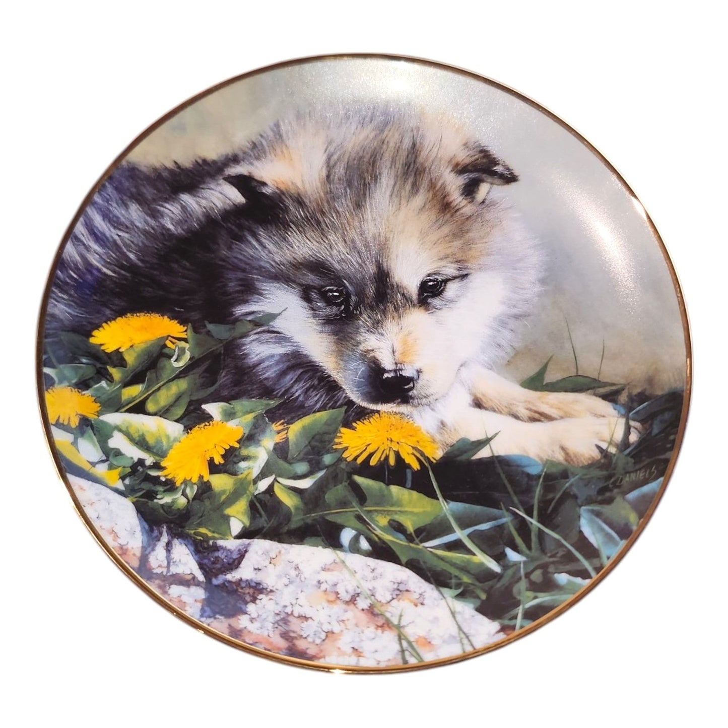 The Bradford Wolf plate Collection