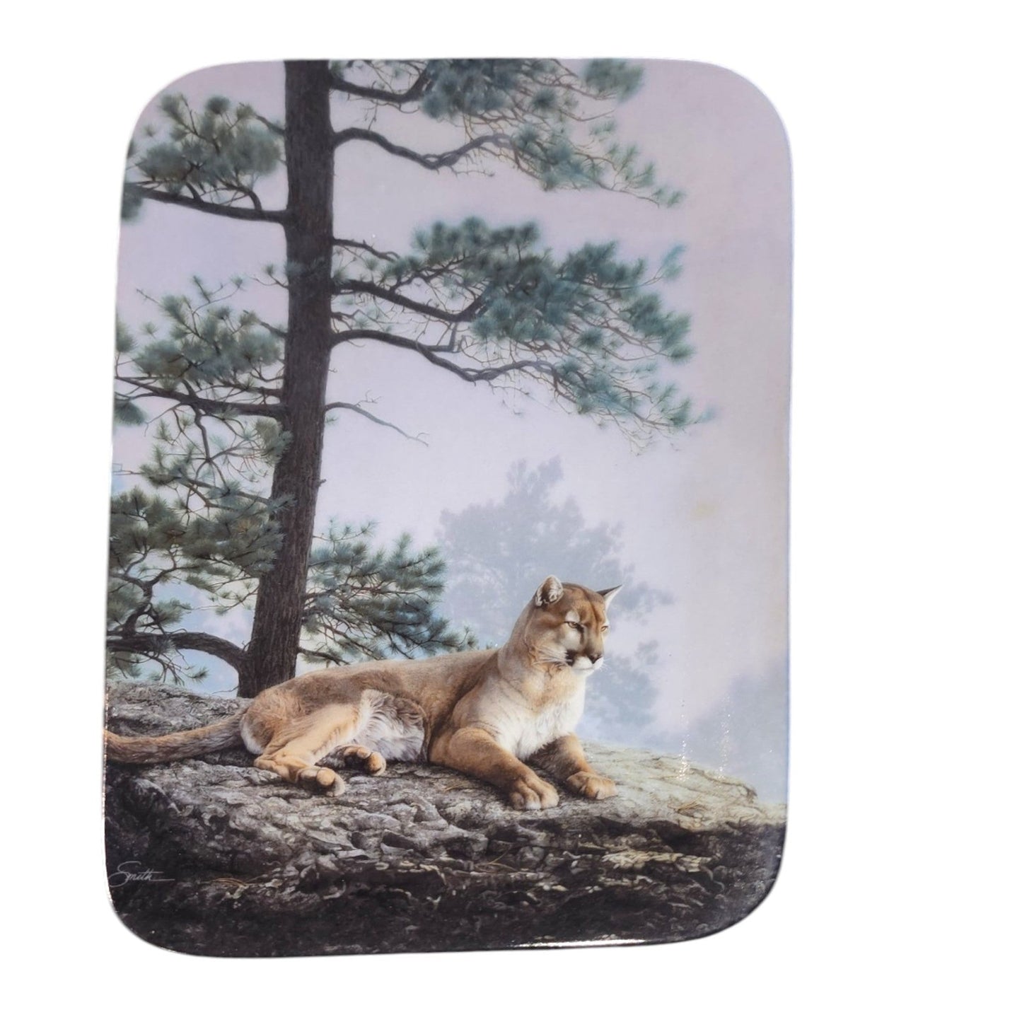 The Woodland Year Collector Plates Kittens Cats & Marten