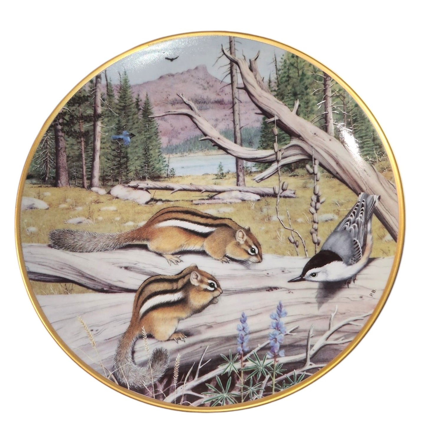 The Woodland Year Collector Plates Various Animals