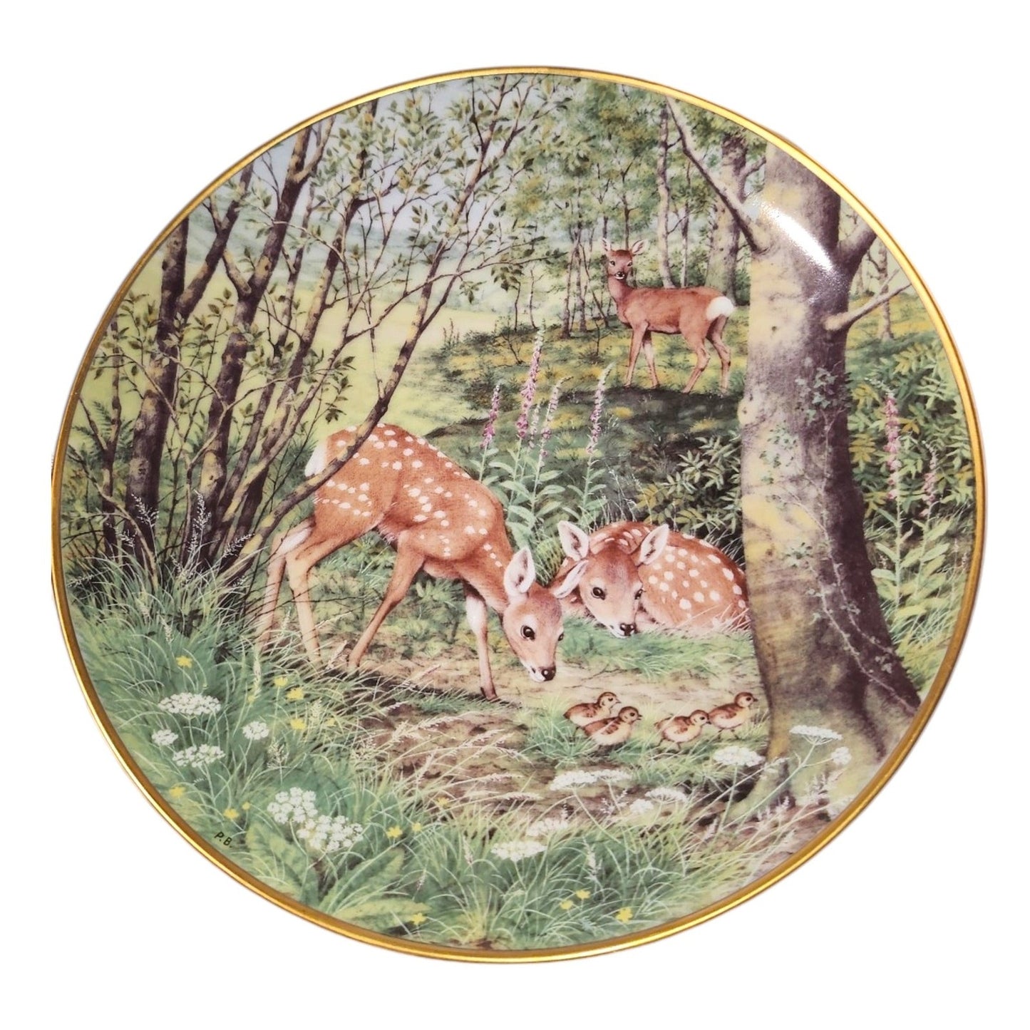 The Woodland Year Collector Plates Various Animals