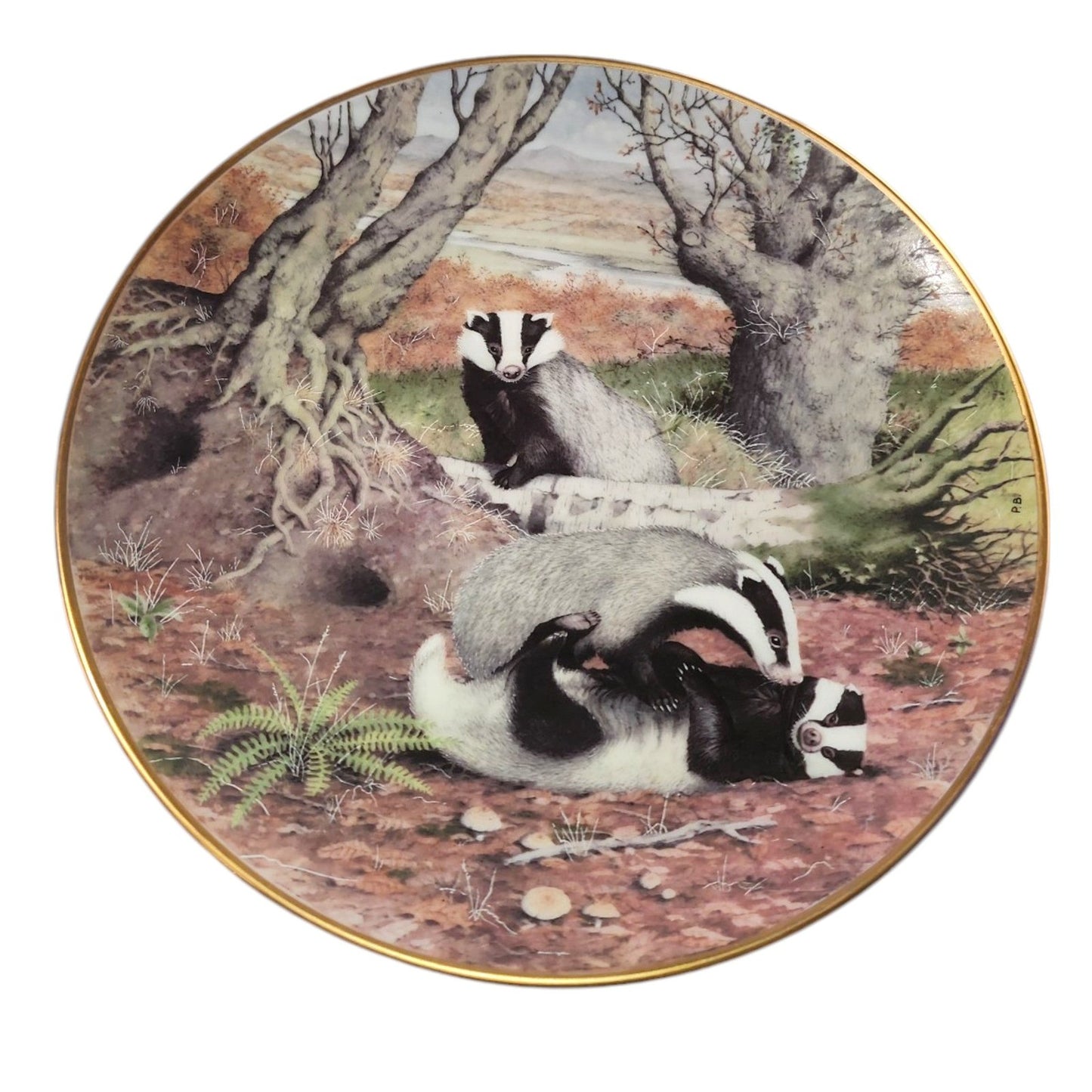 The Woodland Year Collector Plates Various Animals