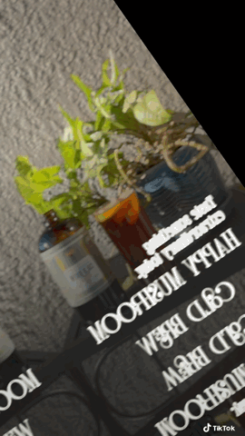 Happy Mushroom concentrated Cold Brew coffee