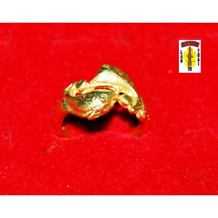 Dipped Gold Ring Dolphin Design