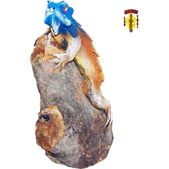 Lifelike Iguana on a Log Blue