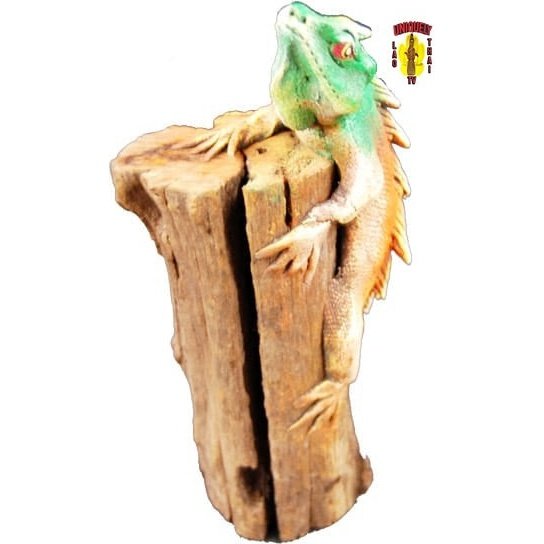 Lifelike Iguana on a Log Green 6" Overall Height
